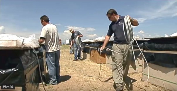 Screen Shot 2020-03-30 at 11.56.48 AM