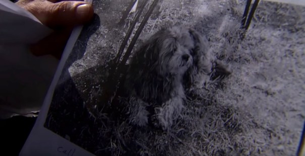 Screen Shot 2020-03-30 at 2.08.26 PM