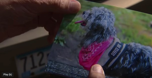 Screen Shot 2020-03-30 at 2.11.27 PM